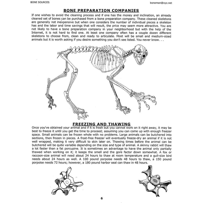 Bone Builder's Notebook (Vol. 10)
