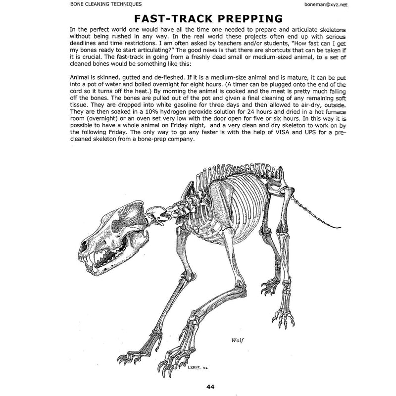 Bone Builder's Notebook (Vol. 10)