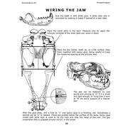 Pinniped Projects Book (Vol. 4)