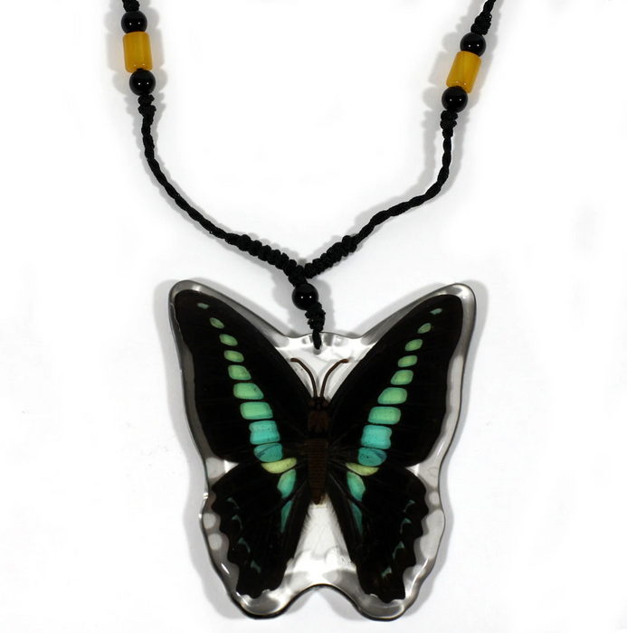 Real Bluebottle Butterfly Acrylic Necklace