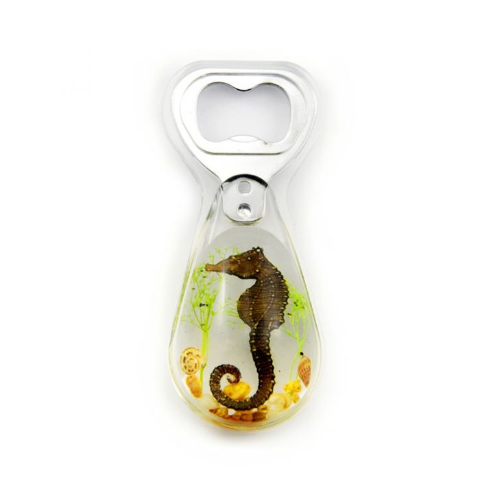 Real Seahorse in Acrylic Bottle Opener