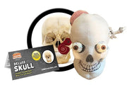 GIANTmicrobes Deluxe Skull Plush With Hidden Organs
