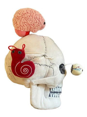 GIANTmicrobes Deluxe Skull Plush With Hidden Organs
