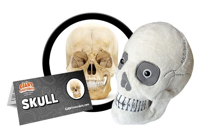 GIANTmicrobes Skull Plush