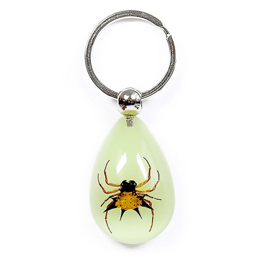 Real Acrylic Spiny Spider Keychain