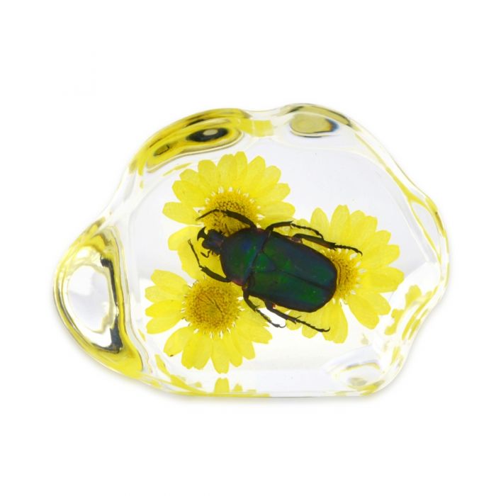 Real Acrylic Green Chafer Paperweight With Flowers