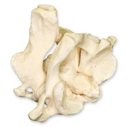 Real Human Atlas or Axis