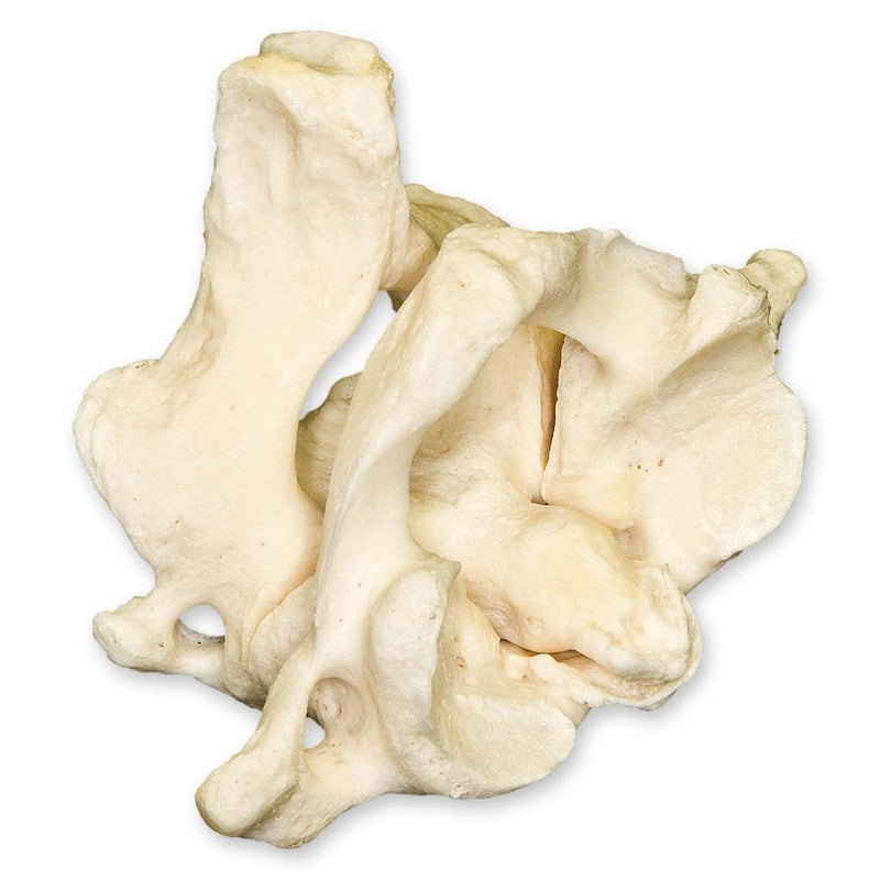 Real Human Atlas or Axis